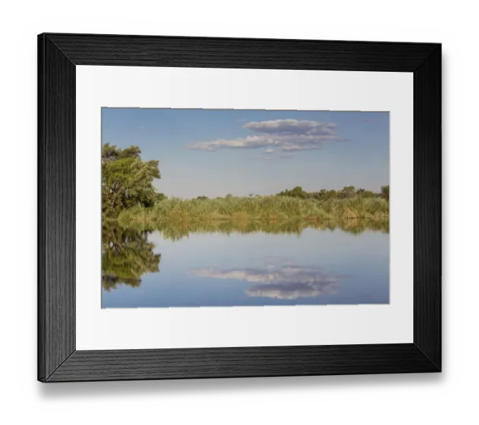 Framed Print : River landscape in Mamili National Park, Caprivi Strip, Namibia, Africa