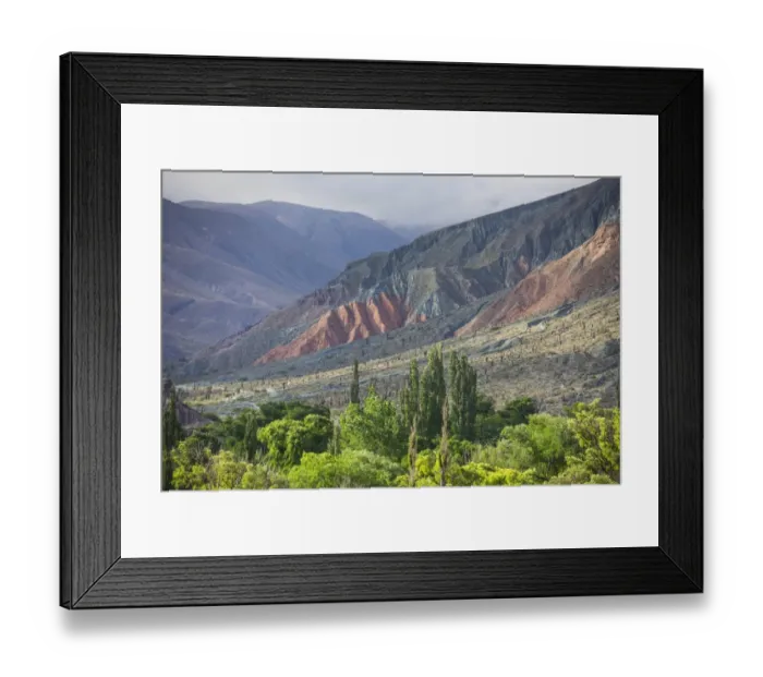 Framed Print : Panoramic, lush vegetation at the Purmamarca river, behind Cerro de los Siete Colores or Hill of Seven Colors in Purmamarca, Jujuy Province, Argentina Framed Print : Panoramic, lush vegetation at the Purmamarca river, behind Cerro de los Siete Colores or Hill of Seven Colors in Purmamarca, Jujuy Province, Argentina