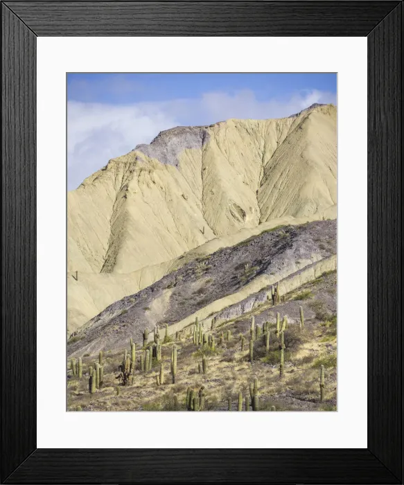 Framed Print : Mountains with Trichocereus pasacana cacti in the foreground, near Purmamarca, Jujuy Province, Argentina Framed Print : Mountains with Trichocereus pasacana cacti in the foreground, near Purmamarca, Jujuy Province, Argentina