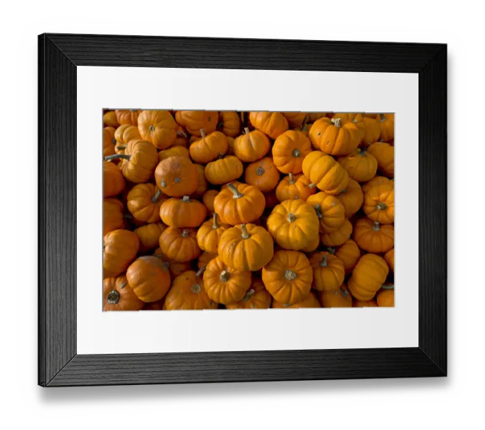 Framed Print : Pumpkins -Curcurbita-, Baden-Wuerttemberg, Germany, Europe