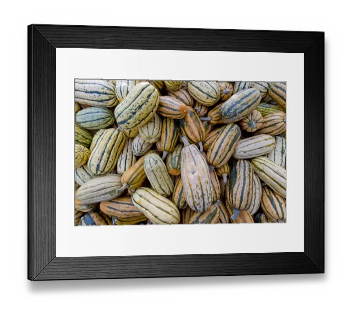Framed Print : Delicata pumpkins -Cucurbita-, Baden-Wuerttemberg, Germany, Europe