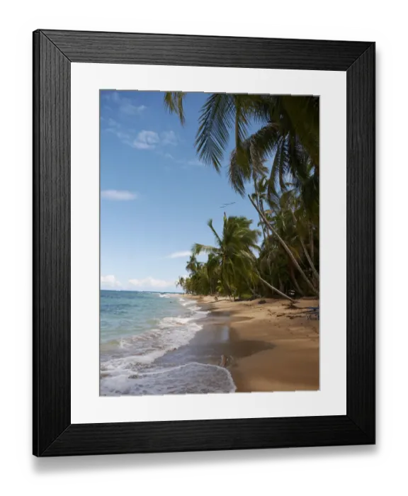 Framed Print : Palm grove on the secluded beach of Punta Uva, Puerto Viejo de Talamanca, Costa Rica, Central America