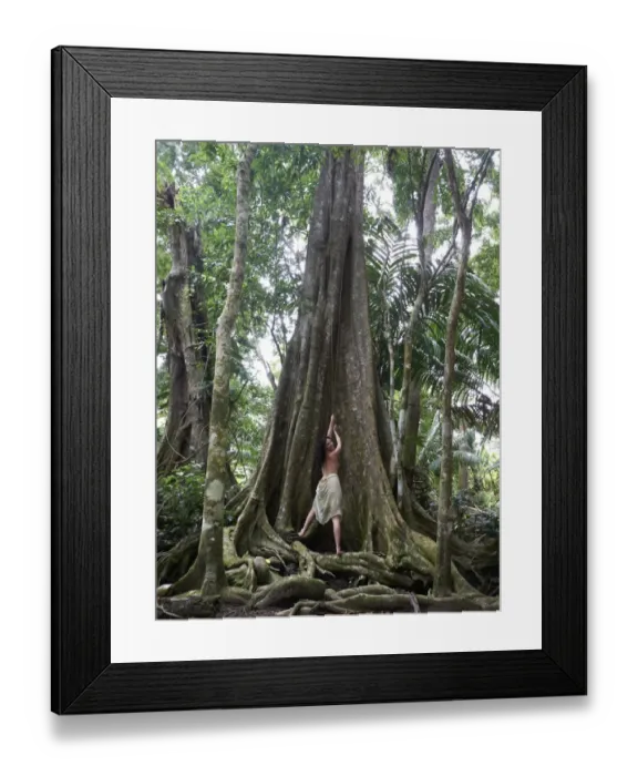 Framed Print : Woman, 45, pulling on a liana of a Kapok -Ceiba pentandra-, rainforest, Punta Uva, Puerto Viejo de Talamanca, Costa Rica, Central America Framed Print : Woman, 45, pulling on a liana of a Kapok -Ceiba pentandra-, rainforest, Punta Uva, Puerto Viejo de Talamanca, Costa Rica, Central America