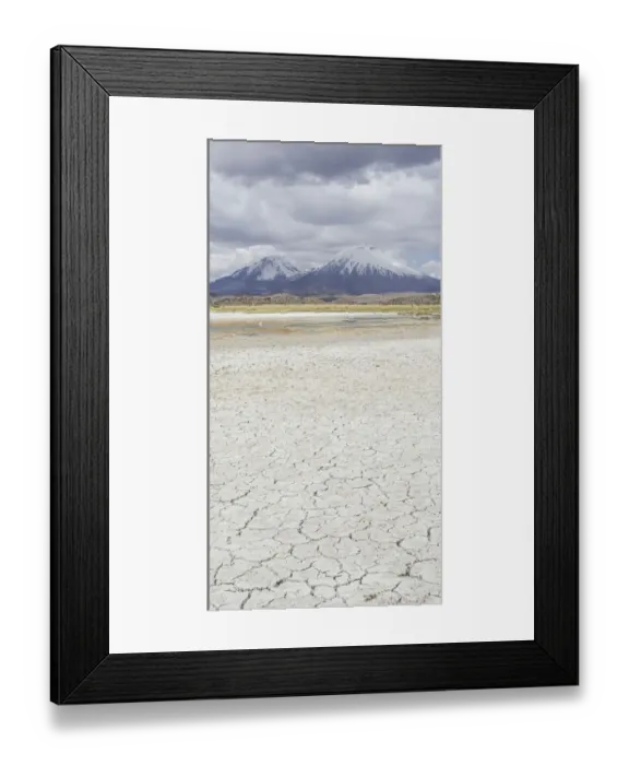 Framed Print : Dried up salt lake with the volcanos Parinacota, left, and Pomerape, right, Putre, Arica and Parinacota Region, Chile Framed Print : Dried up salt lake with the volcanos Parinacota, left, and Pomerape, right, Putre, Arica and Parinacota Region, Chile