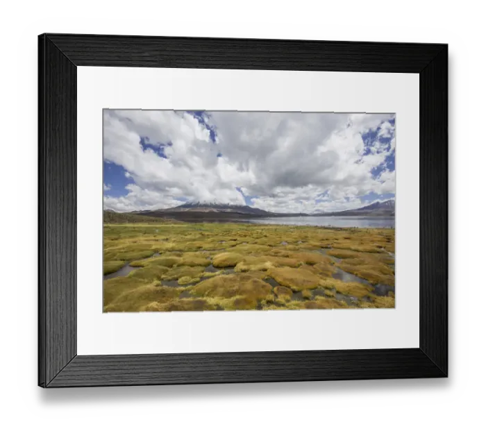 Framed Print : Lake Chungara and the Parinacota volcano, Putre, Arica and Parinacota Region, Chile Framed Print : Lake Chungara and the Parinacota volcano, Putre, Arica and Parinacota Region, Chile