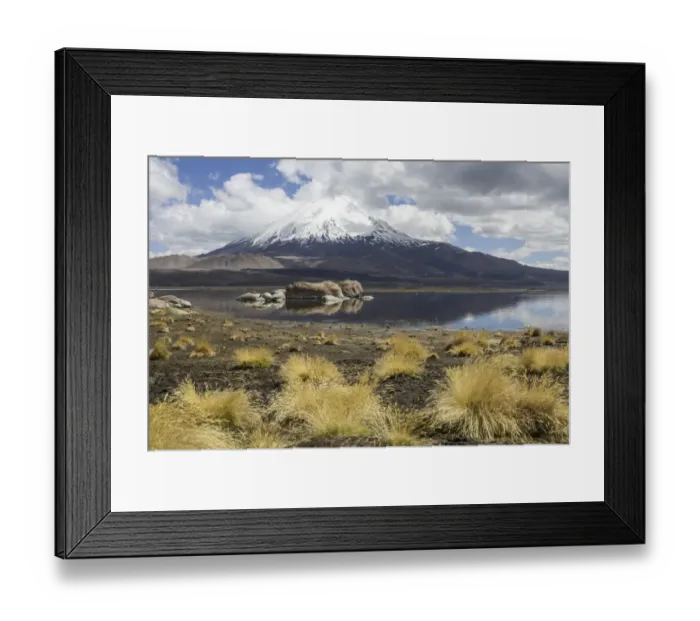 Framed Print : Lake Chungara and the Parinacota volcano, Putre, Arica and Parinacota Region, Chile Framed Print : Lake Chungara and the Parinacota volcano, Putre, Arica and Parinacota Region, Chile