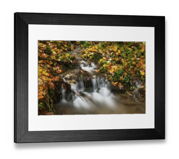 Framed Print : Wildbach stream in autumn, Niklasdorf, Leoben, Styria, Austria, Europe Framed Print : Wildbach stream in autumn, Niklasdorf, Leoben, Styria, Austria, Europe