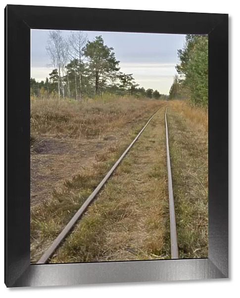 Tracks of a narrow-gauge peat railway, Tiste Bauernmoor, Landkreis Rotenburg, Lower Saxony, Germany