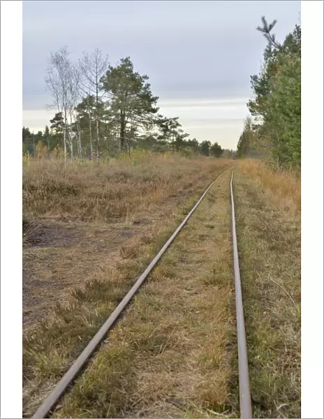 Tracks of a narrow-gauge peat railway, Tiste Bauernmoor, Landkreis Rotenburg, Lower Saxony, Germany