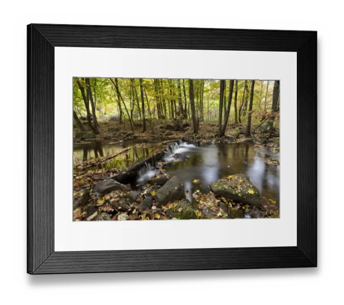 Framed Print : Ilse River in Ilsetal valley in autumn, Harz, Nationalpark Hochharz, Saxony-Anhalt, Germany Framed Print : Ilse River in Ilsetal valley in autumn, Harz, Nationalpark Hochharz, Saxony-Anhalt, Germany