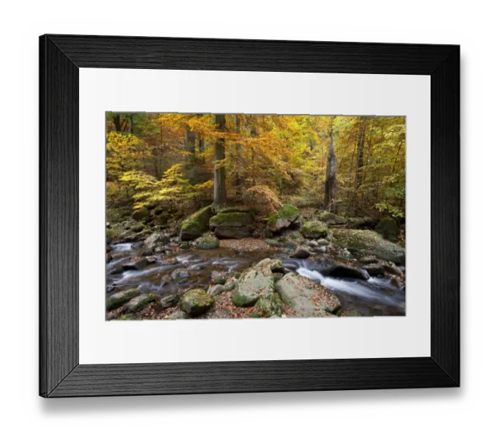 Framed Print : Ilse River in Ilsetal valley in autumn, Harz, Nationalpark Hochharz, Saxony-Anhalt, Germany Framed Print : Ilse River in Ilsetal valley in autumn, Harz, Nationalpark Hochharz, Saxony-Anhalt, Germany