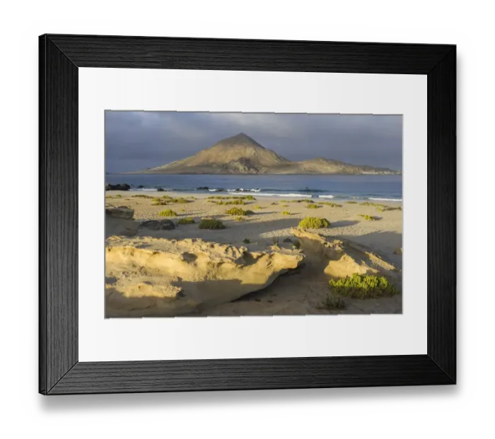 Framed Print : Coast in the morning light, Pan de Azucar National Park, Atacama Region, Chile Framed Print : Coast in the morning light, Pan de Azucar National Park, Atacama Region, Chile