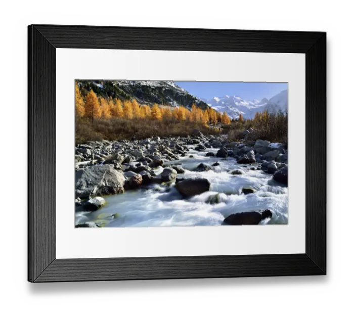 Framed Print : Morteratsch with glacier and autumn-coloured larches, Pontresina, Graubunden, Switzerland