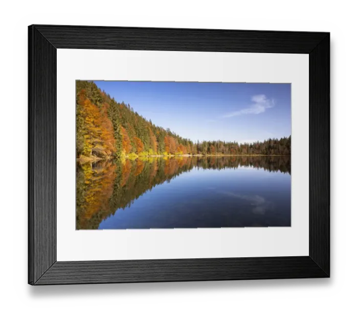 Framed Print : Autumn forest at Feldsee Lake with reflections, near Mt Feldberg, Black Forest, Baden-Wuerttemberg, Germany, Europe Framed Print : Autumn forest at Feldsee Lake with reflections, near Mt Feldberg, Black Forest, Baden-Wuerttemberg, Germany, Europe
