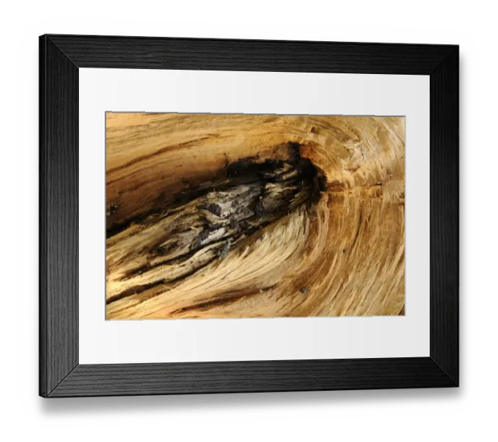 Framed Print : Wood structure Framed Print : Wood structure