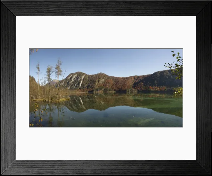 Framed Print : Panorama, autumn at Almsee lake, with a reflection in the lake, Gruenau im Almtal, Upper Austria, Austria Framed Print : Panorama, autumn at Almsee lake, with a reflection in the lake, Gruenau im Almtal, Upper Austria, Austria
