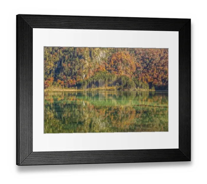 Framed Print : Autumn forest with its reflection in Almsee lake, Gruenau im Almtal, Upper Austria, Austria Framed Print : Autumn forest with its reflection in Almsee lake, Gruenau im Almtal, Upper Austria, Austria