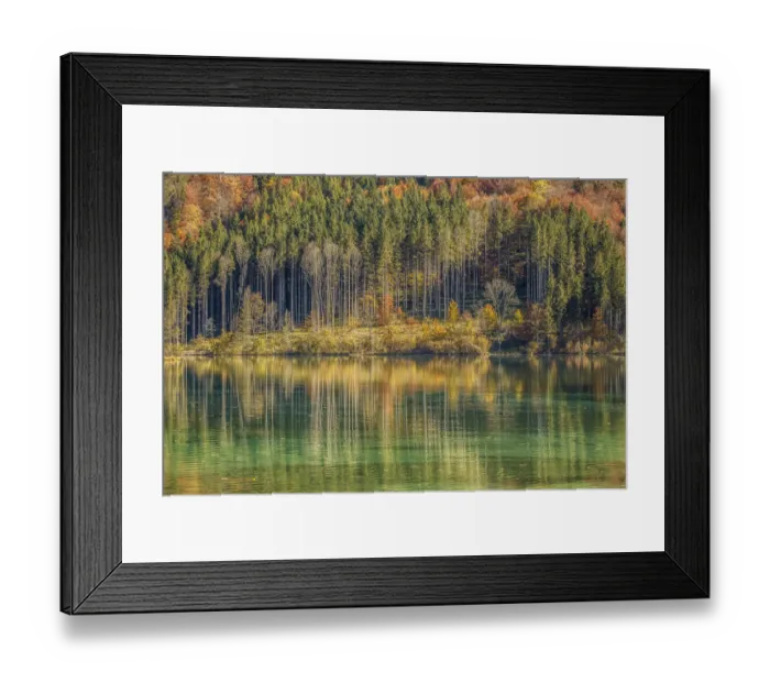 Framed Print : Autumn forest with its reflection in Almsee lake, Gruenau im Almtal, Upper Austria, Austria