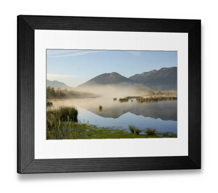 Framed Print : Moorland with morning fog, alpine foothills, Grundbeckenmoor marsh, Nicklheim, Bavaria, Germany, Europe Framed Print : Moorland with morning fog, alpine foothills, Grundbeckenmoor marsh, Nicklheim, Bavaria, Germany, Europe