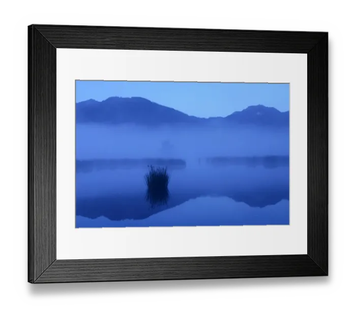 Framed Print : Dusk in the bog, alpine foothills, Grundbeckenmoor marsh, Nicklheim, Bavaria, Germany, Europe Framed Print : Dusk in the bog, alpine foothills, Grundbeckenmoor marsh, Nicklheim, Bavaria, Germany, Europe