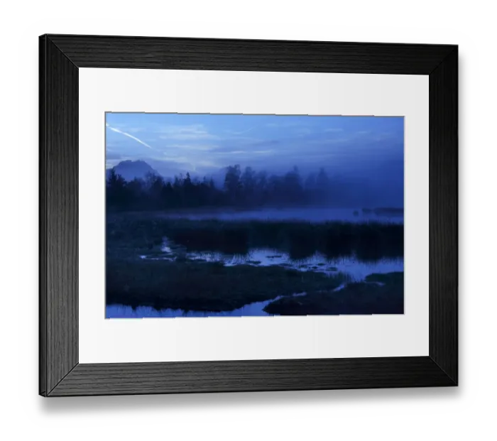 Framed Print : Dusk in the bog, alpine foothills, Grundbeckenmoor marsh, Nicklheim, Bavaria, Germany, Europe Framed Print : Dusk in the bog, alpine foothills, Grundbeckenmoor marsh, Nicklheim, Bavaria, Germany, Europe