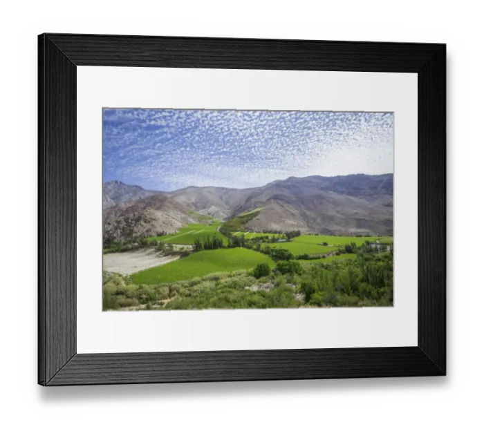 Framed Print : Vineyards in the Valle del Elqui, Vicuna, Region de Coquimbo, Chile Framed Print : Vineyards in the Valle del Elqui, Vicuna, Region de Coquimbo, Chile