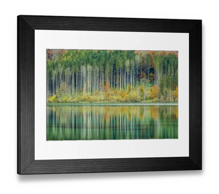 Framed Print : Autumn forest with its reflection in Almsee lake, Gruenau im Almtal, Upper Austria, Austria Framed Print : Autumn forest with its reflection in Almsee lake, Gruenau im Almtal, Upper Austria, Austria