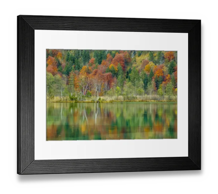 Framed Print : Autumn forest with its reflection in Almsee lake, Gruenau im Almtal, Upper Austria, Austria