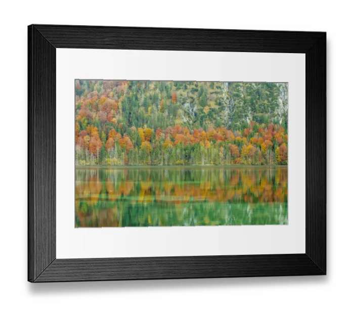 Framed Print : Autumn forest with its reflection in Almsee lake, Gruenau im Almtal, Upper Austria, Austria Framed Print : Autumn forest with its reflection in Almsee lake, Gruenau im Almtal, Upper Austria, Austria