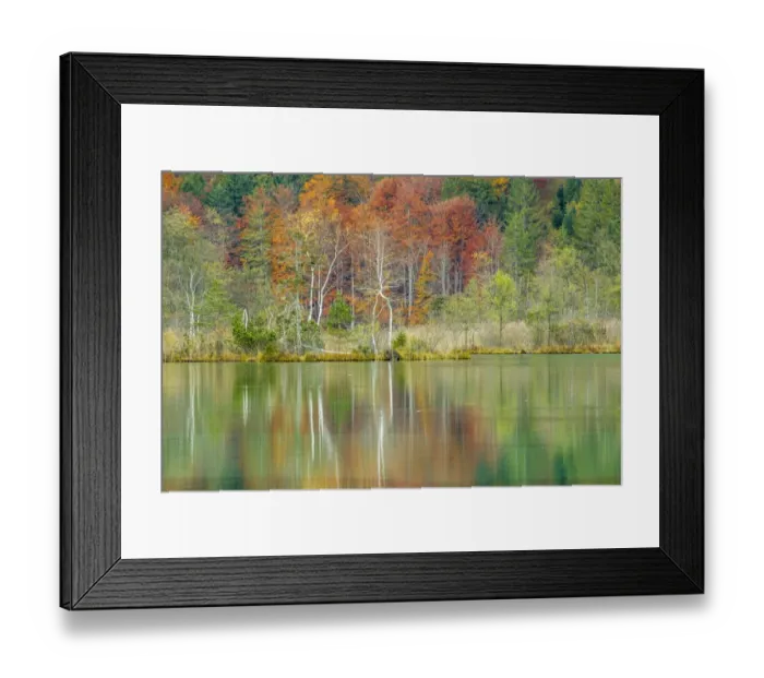 Framed Print : Autumn forest with its reflection in Almsee lake, Gruenau im Almtal, Upper Austria, Austria Framed Print : Autumn forest with its reflection in Almsee lake, Gruenau im Almtal, Upper Austria, Austria