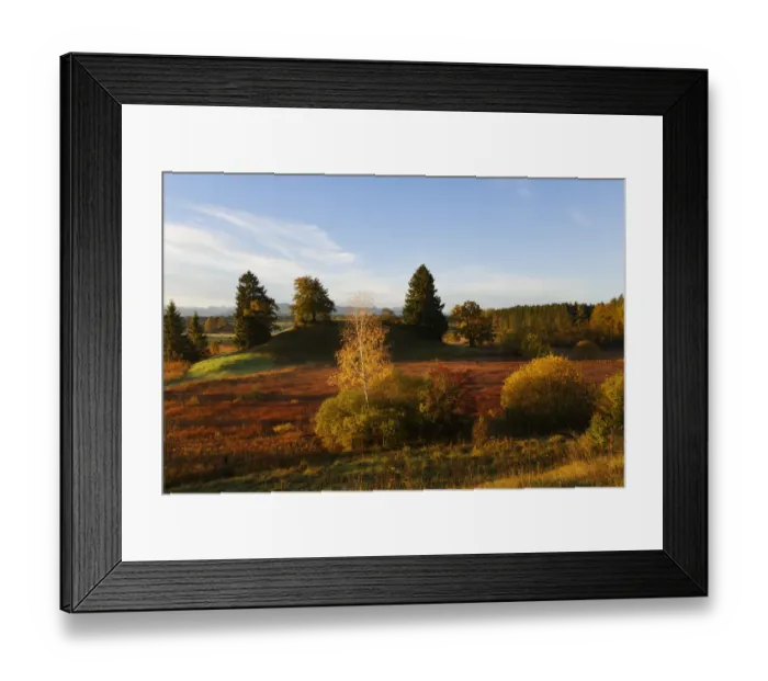 Framed Print : Landscape near the Osterseen lakes near Iffeldorf in the early morning, in autumn, Alpine foreland, Fuenfseenland region, Upper Bavaria, Bavaria, Germany, Europe Framed Print : Landscape near the Osterseen lakes near Iffeldorf in the early morning, in autumn, Alpine foreland, Fuenfseenland region, Upper Bavaria, Bavaria, Germany, Europe