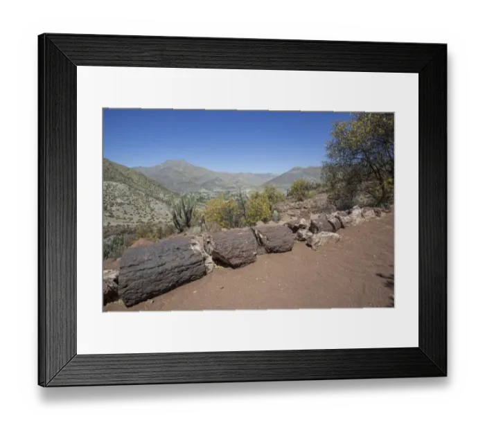 Framed Print : Petrified Araucaria wood, Monumental Nacional Pichasca, Rio Hurtado, Region de Coquimbo, Chile Framed Print : Petrified Araucaria wood, Monumental Nacional Pichasca, Rio Hurtado, Region de Coquimbo, Chile