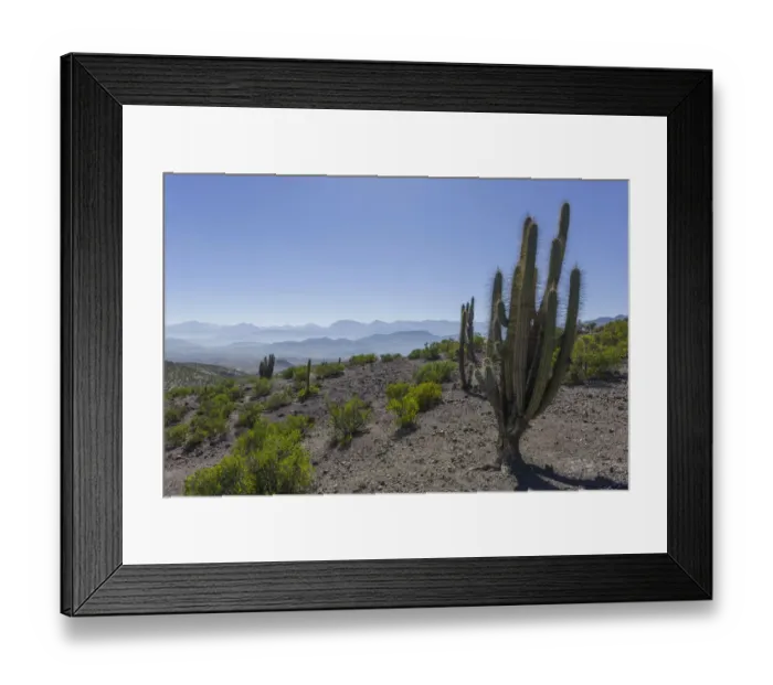 Framed Print : View from a mountain pass onto the barren landscape with a Copao Cactus -Eulychnia acida Phil. -, Combarbala, Region de Coquimbo, Chile Framed Print : View from a mountain pass onto the barren landscape with a Copao Cactus -Eulychnia acida Phil. -, Combarbala, Region de Coquimbo, Chile