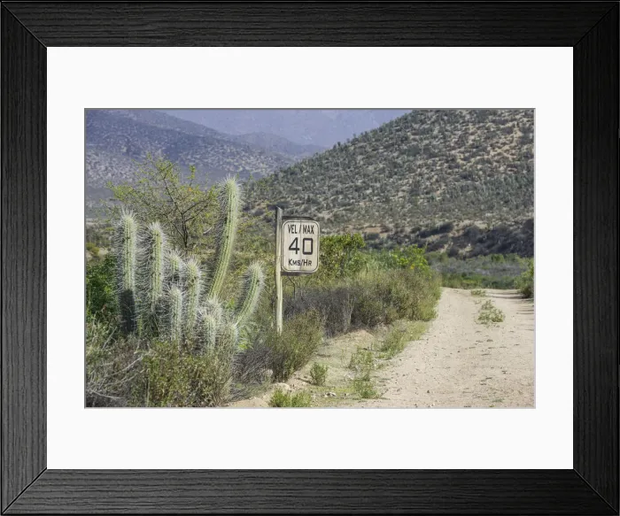 Framed Print : Wooden sign, max 40 kmh, and a Copao Cactus -Eulychnia acida Phil. -, Las Chinchillas National Reserve, Reserva Nacional Las Chinchillas, Illapel, Region de Coquimbo, Chile Framed Print : Wooden sign, max 40 kmh, and a Copao Cactus -Eulychnia acida Phil. -, Las Chinchillas National Reserve, Reserva Nacional Las Chinchillas, Illapel, Region de Coquimbo, Chile