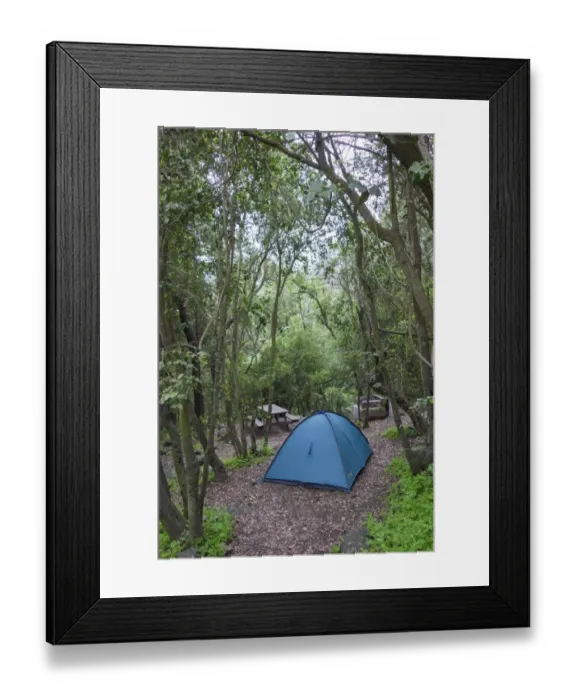 Framed Print : Campground, La Campana National Park, Olmue, Valparaiso Region, Chile Framed Print : Campground, La Campana National Park, Olmue, Valparaiso Region, Chile