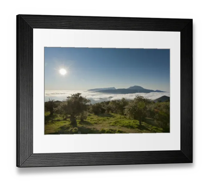 Framed Print : Sun over a landscape with trees, Mount Piton de Neiges at back, Plaine des Cafres, near Bourg-Murat, La Reunion, Reunion, France Framed Print : Sun over a landscape with trees, Mount Piton de Neiges at back, Plaine des Cafres, near Bourg-Murat, La Reunion, Reunion, France