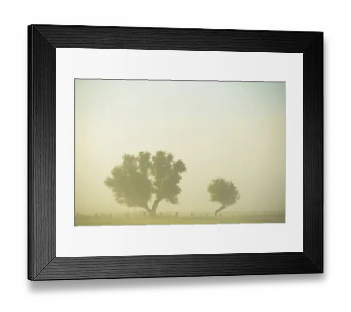 Framed Print : Two trees in the morning mist, Bislicher Insel, Xanten, Lower Rhine region, North Rhine-Westphalia, Germany Framed Print : Two trees in the morning mist, Bislicher Insel, Xanten, Lower Rhine region, North Rhine-Westphalia, Germany