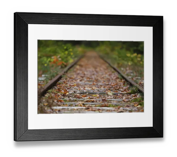 Framed Print : Railroad tracks in autumn, New Hampshire, USA Framed Print : Railroad tracks in autumn, New Hampshire, USA