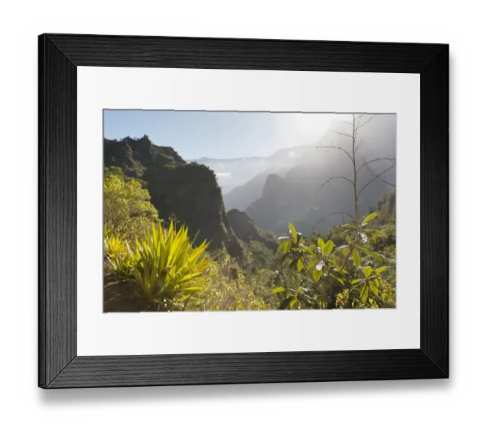 Framed Print : Mystical misty mountain landscape, with agave in the foreground, Cilaos, Cirque de Cilaos, French Overseas Territory, La Reunion Framed Print : Mystical misty mountain landscape, with agave in the foreground, Cilaos, Cirque de Cilaos, French Overseas Territory, La Reunion