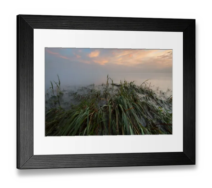 Framed Print : Early morning mood on the shore near Landschlacht, Lake Constance, Switzerland, Europe Framed Print : Early morning mood on the shore near Landschlacht, Lake Constance, Switzerland, Europe