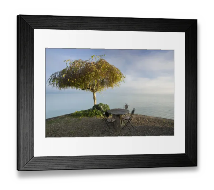 Framed Print : Garden furniture and a tree, early morning mood on Lake Constance near Landschlacht, Switzerland, Europe, PublicGround Framed Print : Garden furniture and a tree, early morning mood on Lake Constance near Landschlacht, Switzerland, Europe, PublicGround