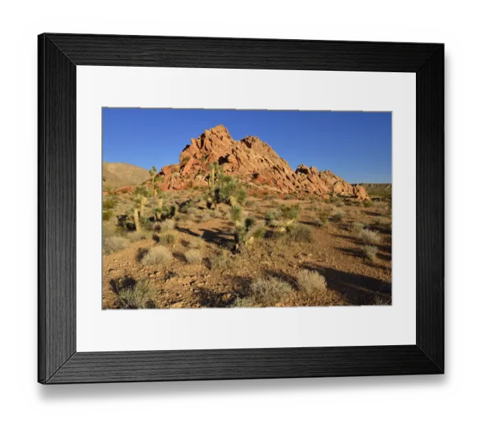Framed Print : Mojave desert with Joshua trees -Yucca brevifolia-, Whitney Pockets, Virgin Mountains, Nevada, USA, North America Framed Print : Mojave desert with Joshua trees -Yucca brevifolia-, Whitney Pockets, Virgin Mountains, Nevada, USA, North America