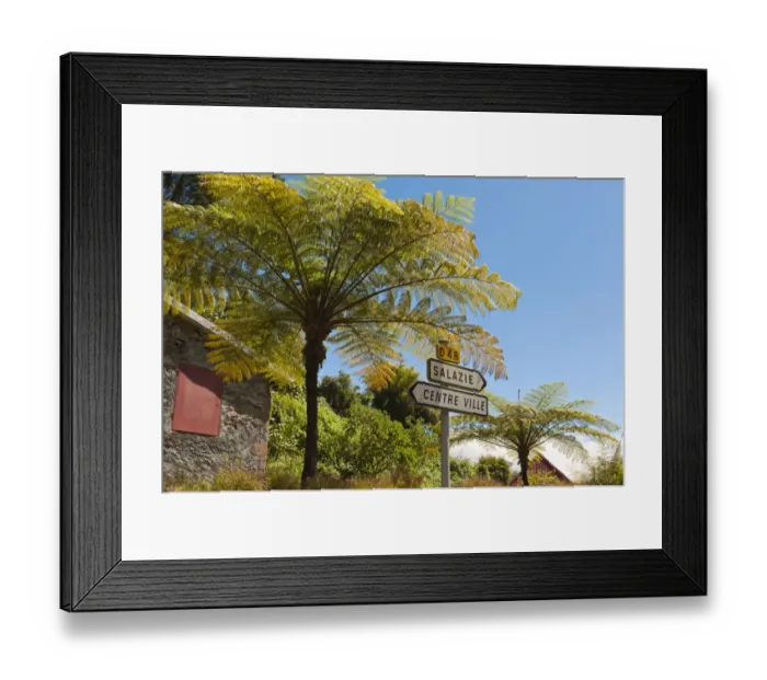 Framed Print : Tree ferns -Cyatheales- and direction signs, Hell-Bourg, Salazie, La Reunion, Reunion, France Framed Print : Tree ferns -Cyatheales- and direction signs, Hell-Bourg, Salazie, La Reunion, Reunion, France