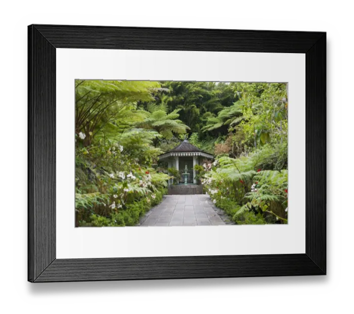 Framed Print : Creole architecture, garden with a fountain, gazebo, Maison Folio, tropical vegetation with Tree Ferns -Cyatheales-, Cirque de Salazie, Hell-Bourg, French Overseas Territory, La Reunion