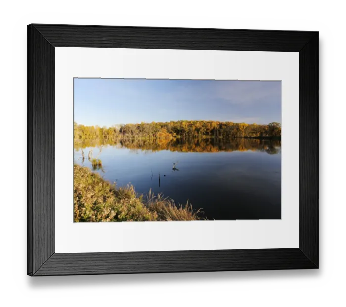 Framed Print : Autumn in Minnesota, USA Framed Print : Autumn in Minnesota, USA
