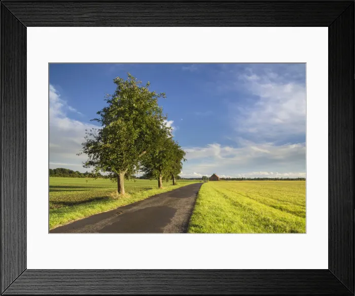 Framed Print : Evening light, Mariensee, Neustadt am Ruebenberge, Hannover Region, Steinhuder Meer or Lake Steinhude, Lower Saxony, Germany, Europe Framed Print : Evening light, Mariensee, Neustadt am Ruebenberge, Hannover Region, Steinhuder Meer or Lake Steinhude, Lower Saxony, Germany, Europe
