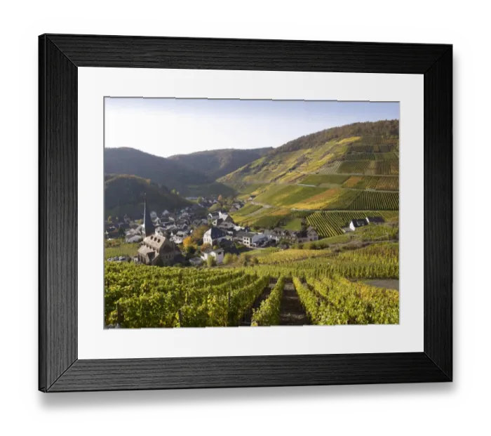 Framed Print : Village of Mayschoss surrounded by vineyards in autumn, Mayschoss, Ahrtal, Eifel, Rhineland-Palatinate, Germany Framed Print : Village of Mayschoss surrounded by vineyards in autumn, Mayschoss, Ahrtal, Eifel, Rhineland-Palatinate, Germany
