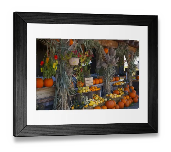 Framed Print : Pumpkins, squashes and gourds at the autumn market, Granby, Eastern Townships, Quebec Province, Canada Framed Print : Pumpkins, squashes and gourds at the autumn market, Granby, Eastern Townships, Quebec Province, Canada