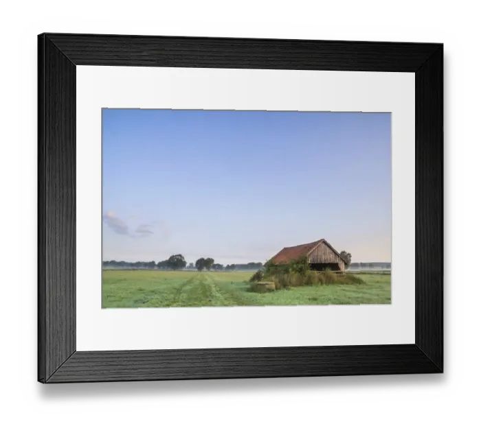 Framed Print : Schneeren landscape, Steinhuder Meer Nature Park, Neustadt am Ruebenberge, Lower Saxony, Germany, Europe Framed Print : Schneeren landscape, Steinhuder Meer Nature Park, Neustadt am Ruebenberge, Lower Saxony, Germany, Europe