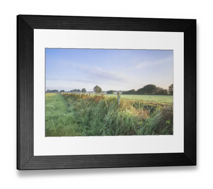 Framed Print : Schneeren landscape, Steinhuder Meer Nature Park, Neustadt am Ruebenberge, Lower Saxony, Germany, Europe Framed Print : Schneeren landscape, Steinhuder Meer Nature Park, Neustadt am Ruebenberge, Lower Saxony, Germany, Europe